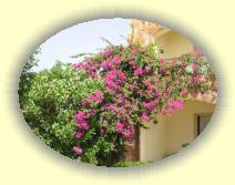 IMG_2007_05_31 12_52_19 * 2272 x 1704 * (765KB)